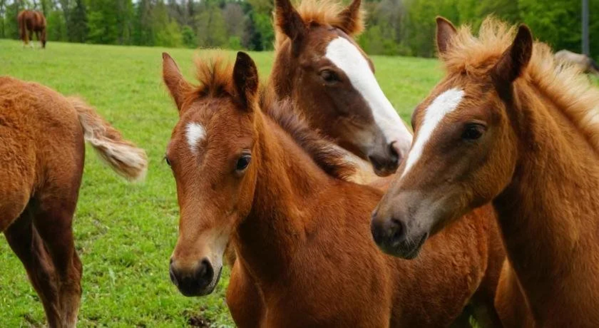 Unik Bed and Breakfast