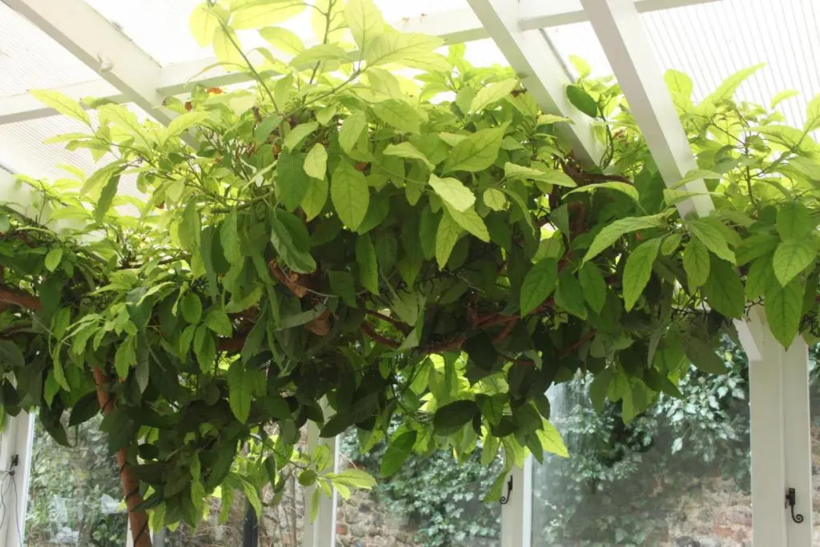 The Crown House Hotel