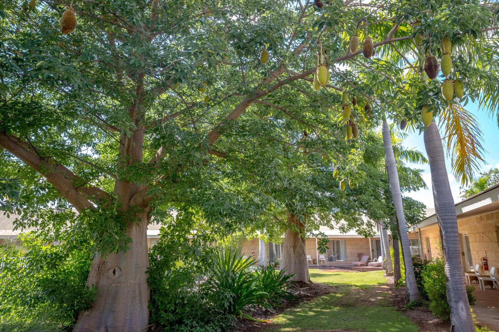 The Kimberley Grande Resort