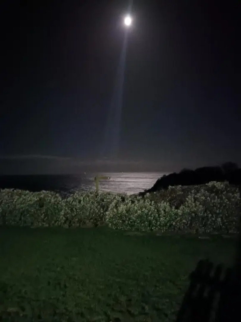 The Cabin with the View (Adults Only)