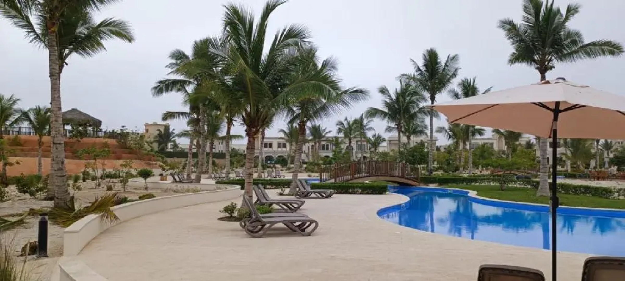 Acacia Flower AC 8-201