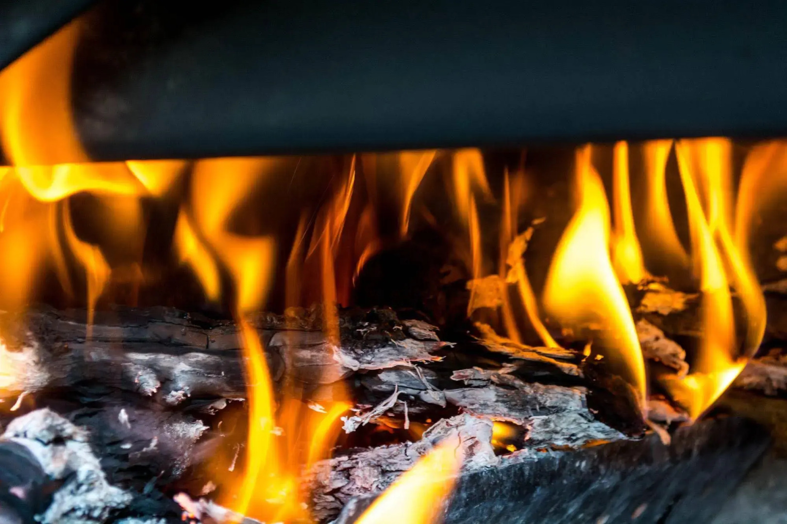 Santa Elena Hostel Resort