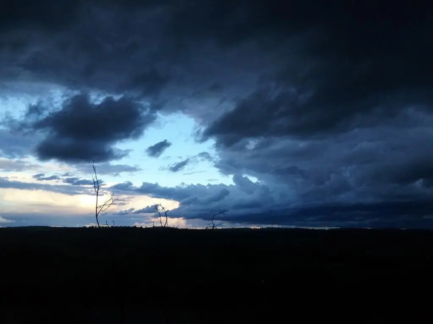 Mt Surmon Wines/Scarlattis Gallery/The Retreat