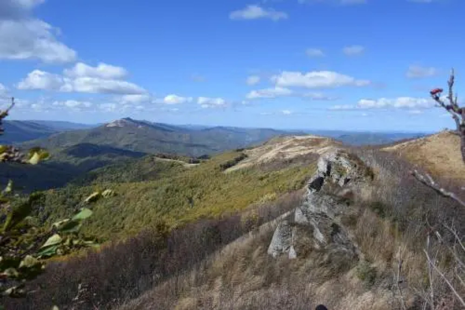 Agroturystyka Pod Świerkami