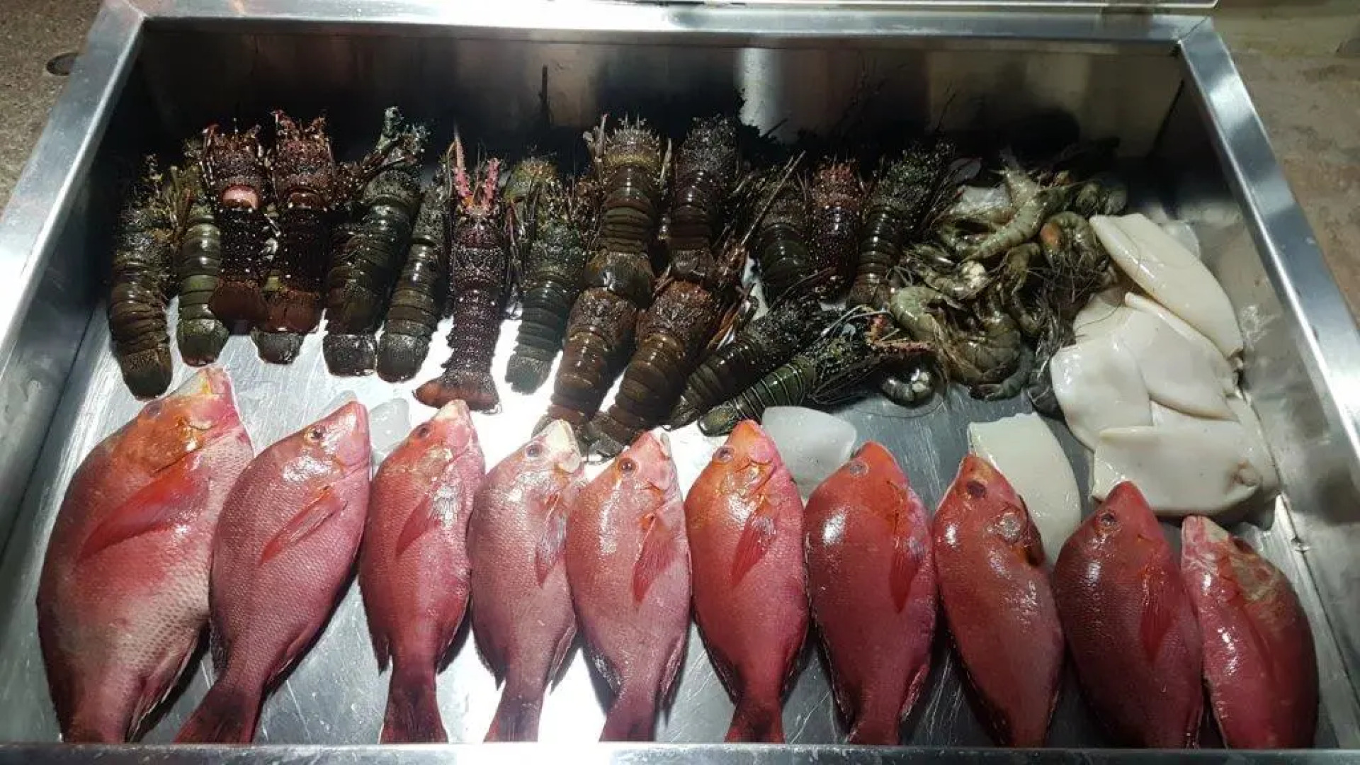 Kura Kura Beach Resort