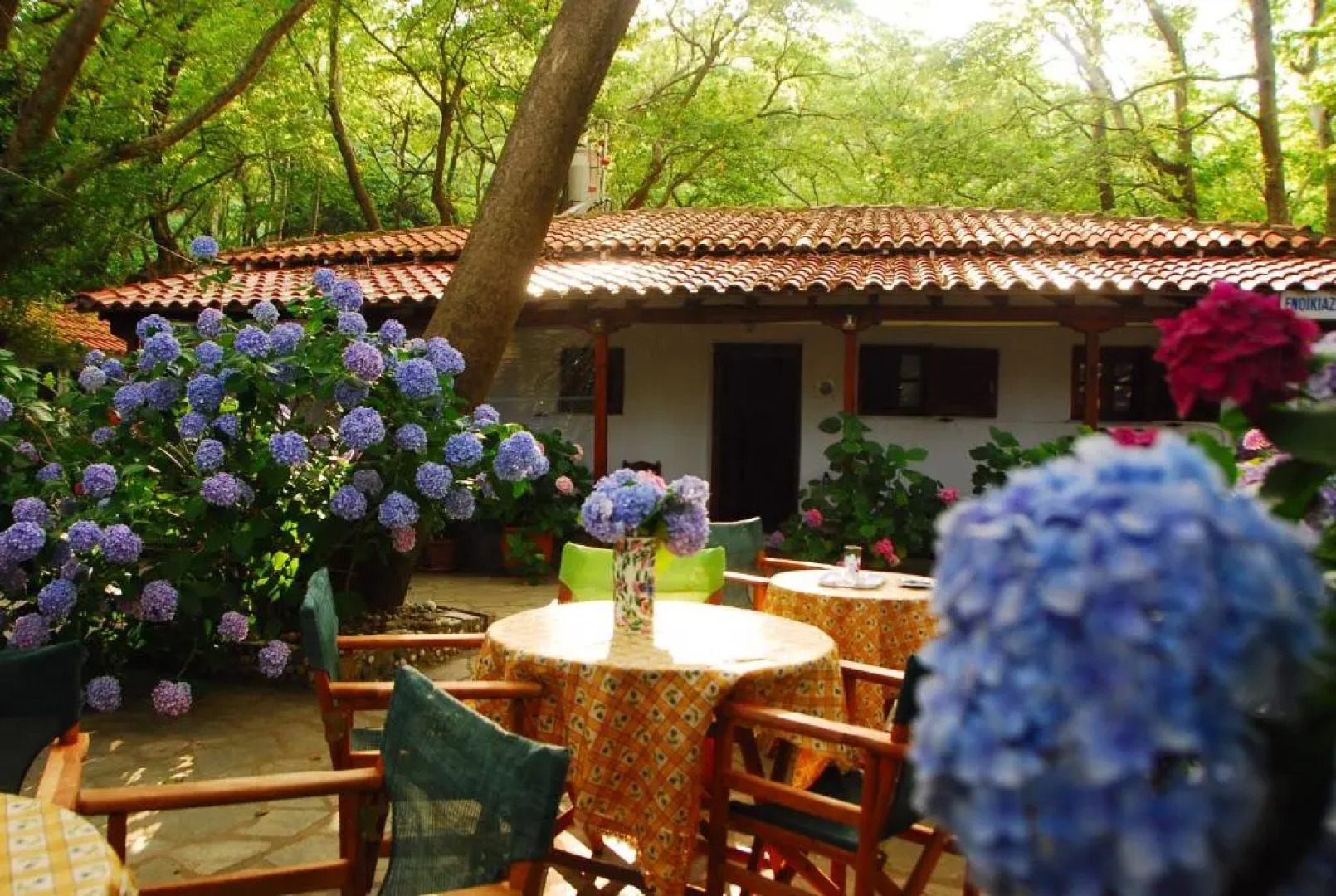 Tasoula Parselia Studios