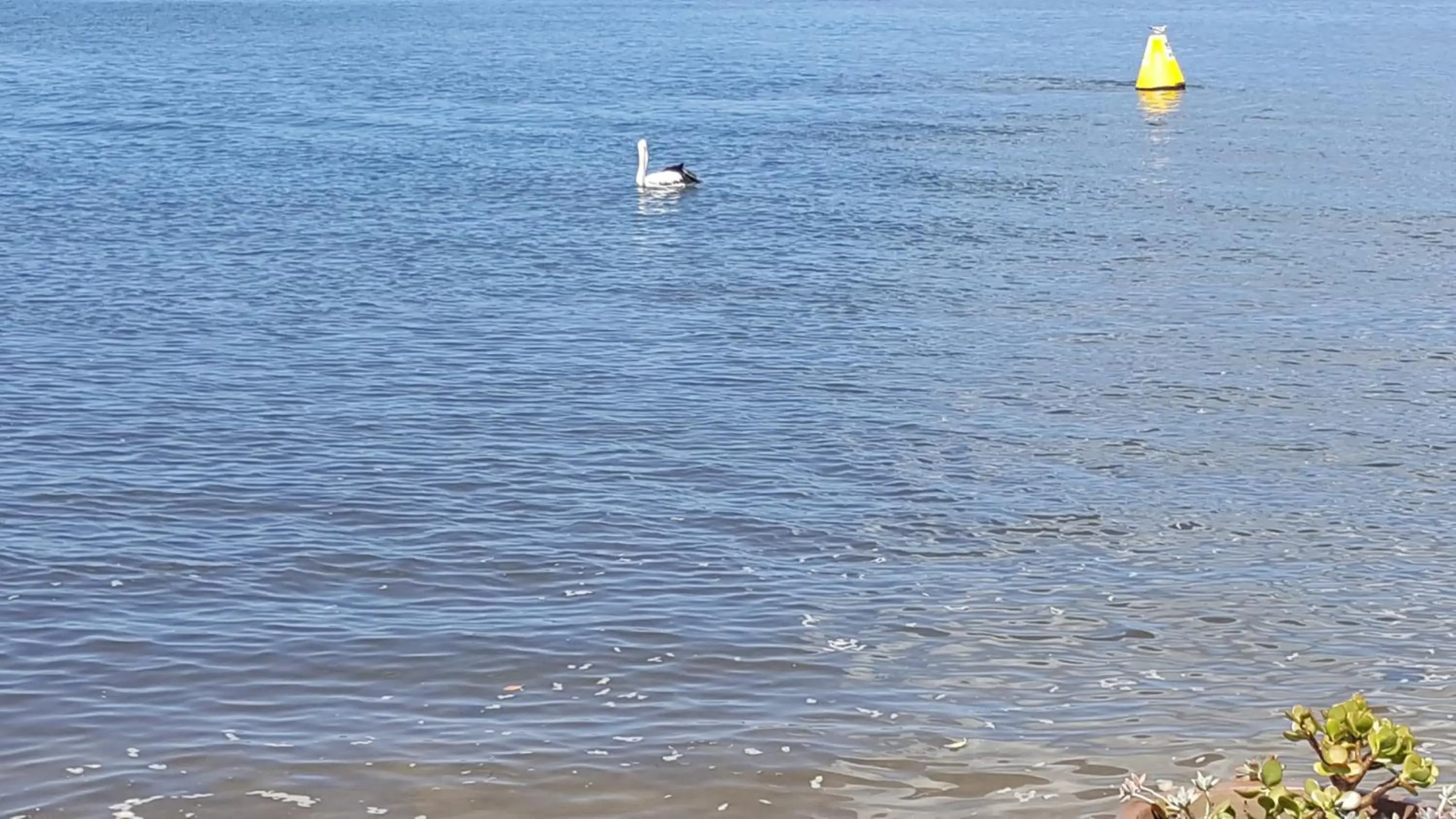 Villa Riviera on River Front