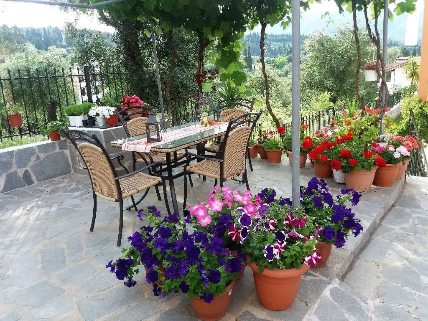 Ziogas Luxury Apartment's