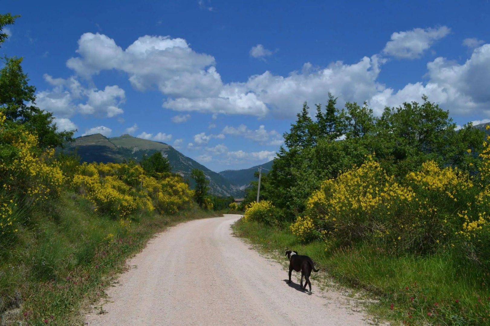 Sant'Apollinare Farm House