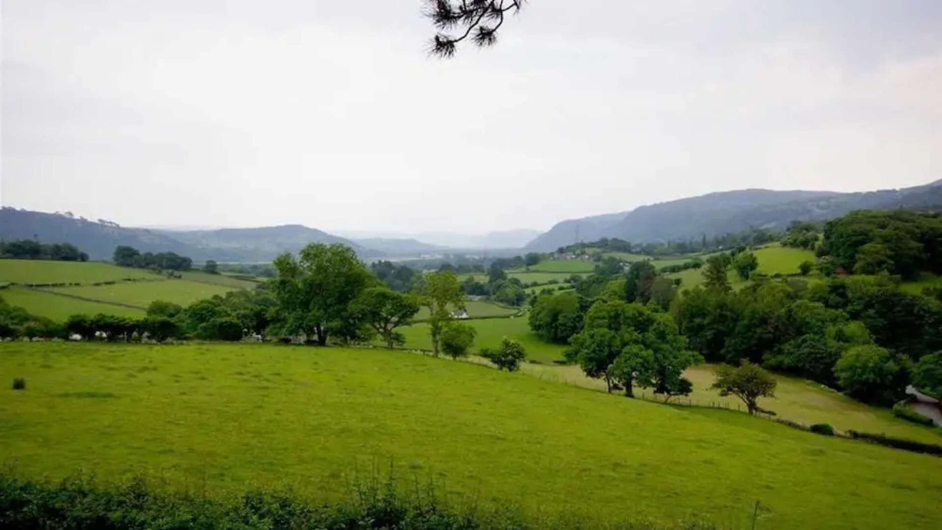 Eryl cottage in Rowen