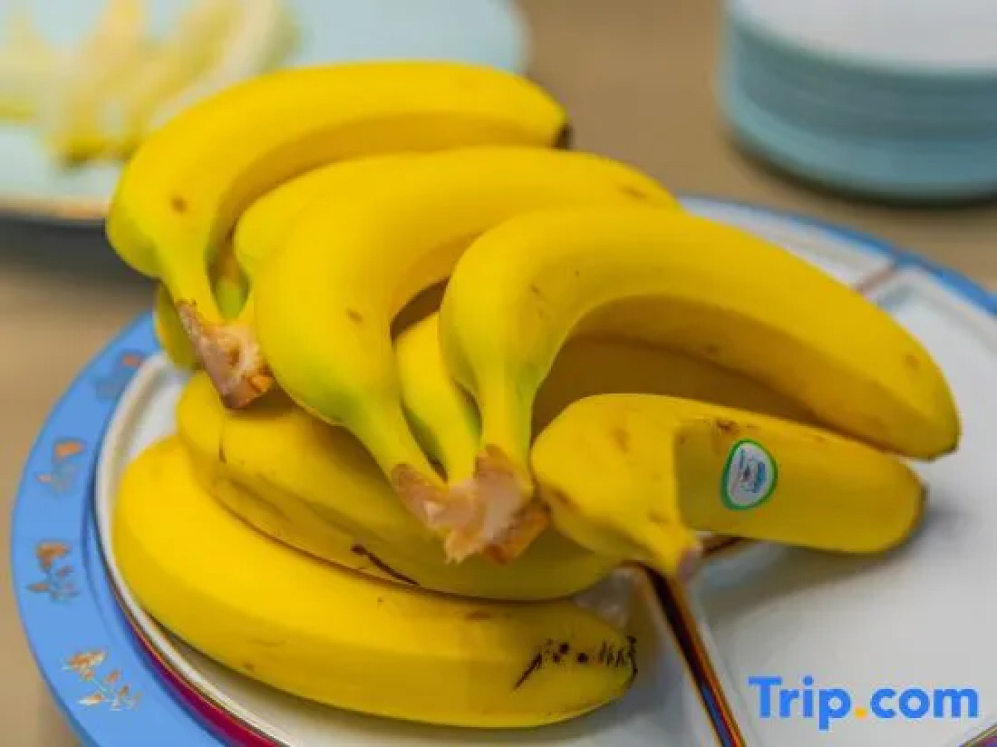 Vienna International Hotel