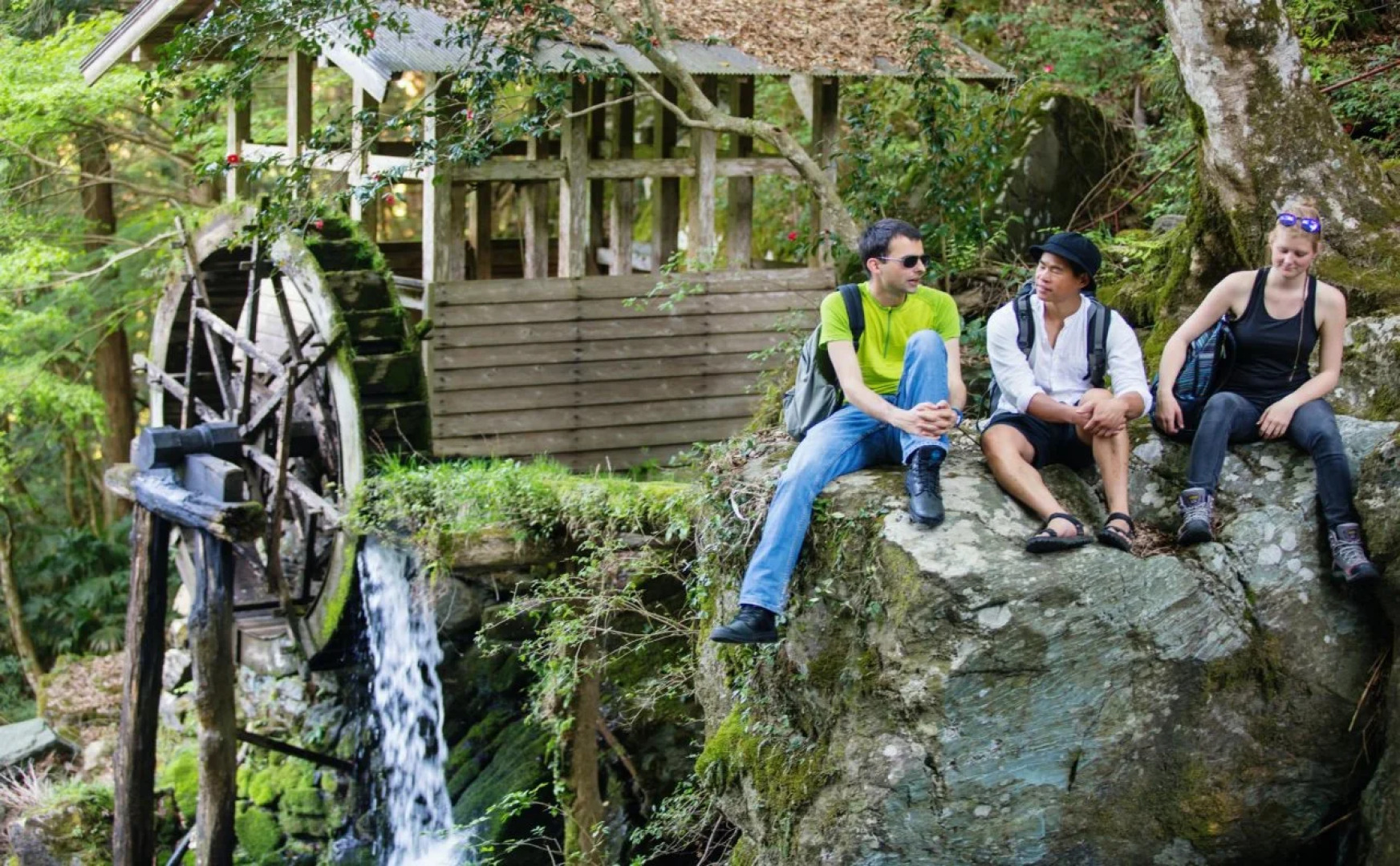 Guesthouse Momonga Village - Hostel