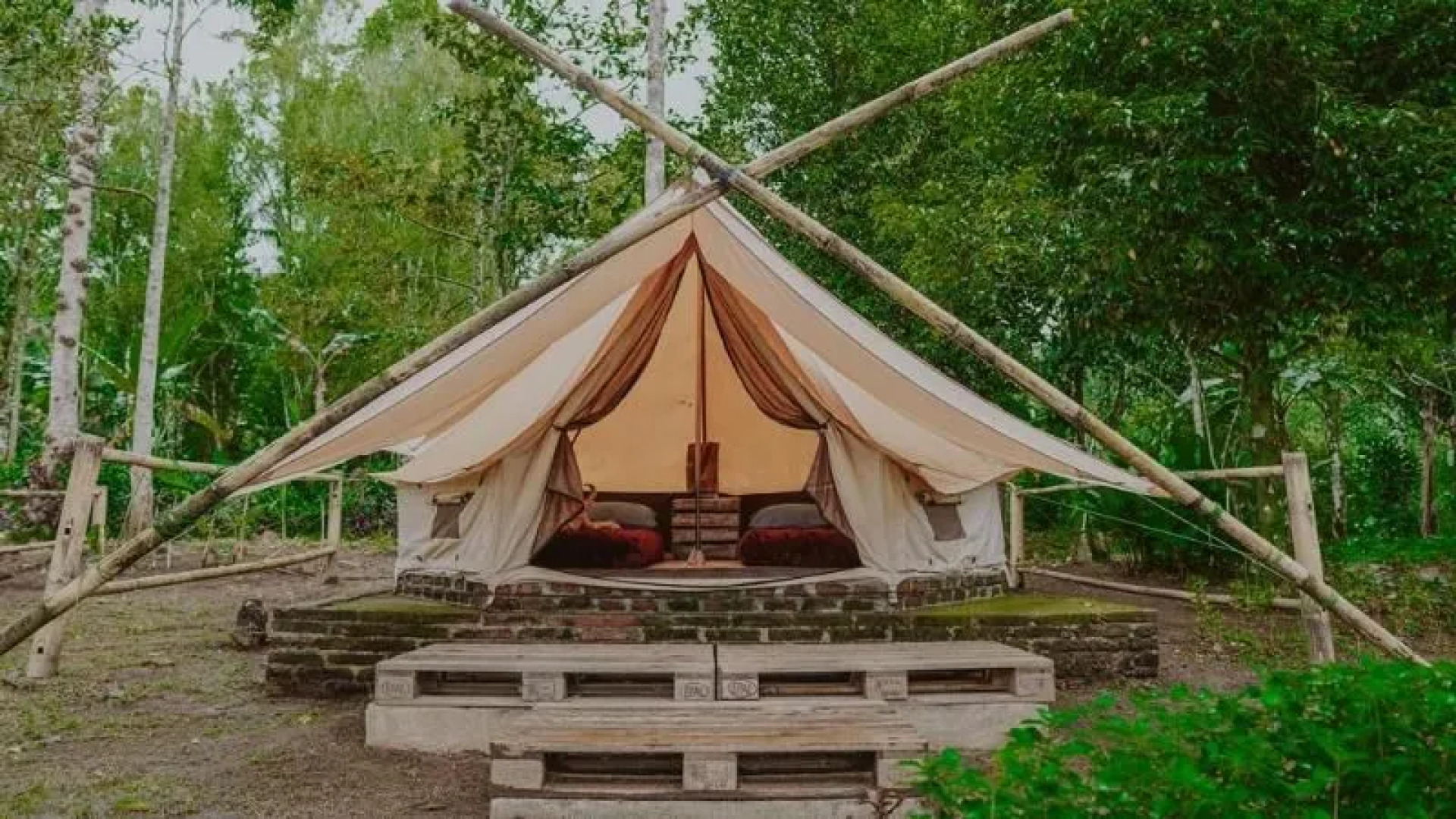 Damarwidi Glamping - Campsite