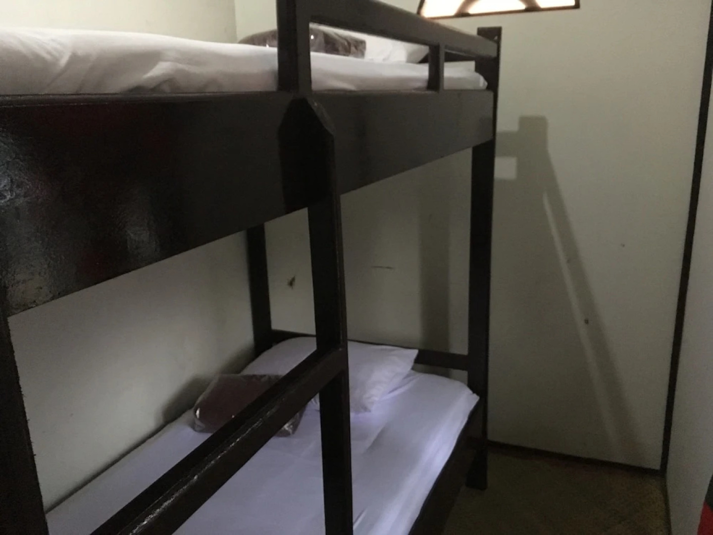 Arut Riverside Orangutan Guest house