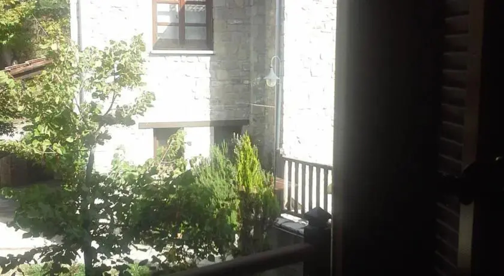 Ta Petrina Tis Elatis