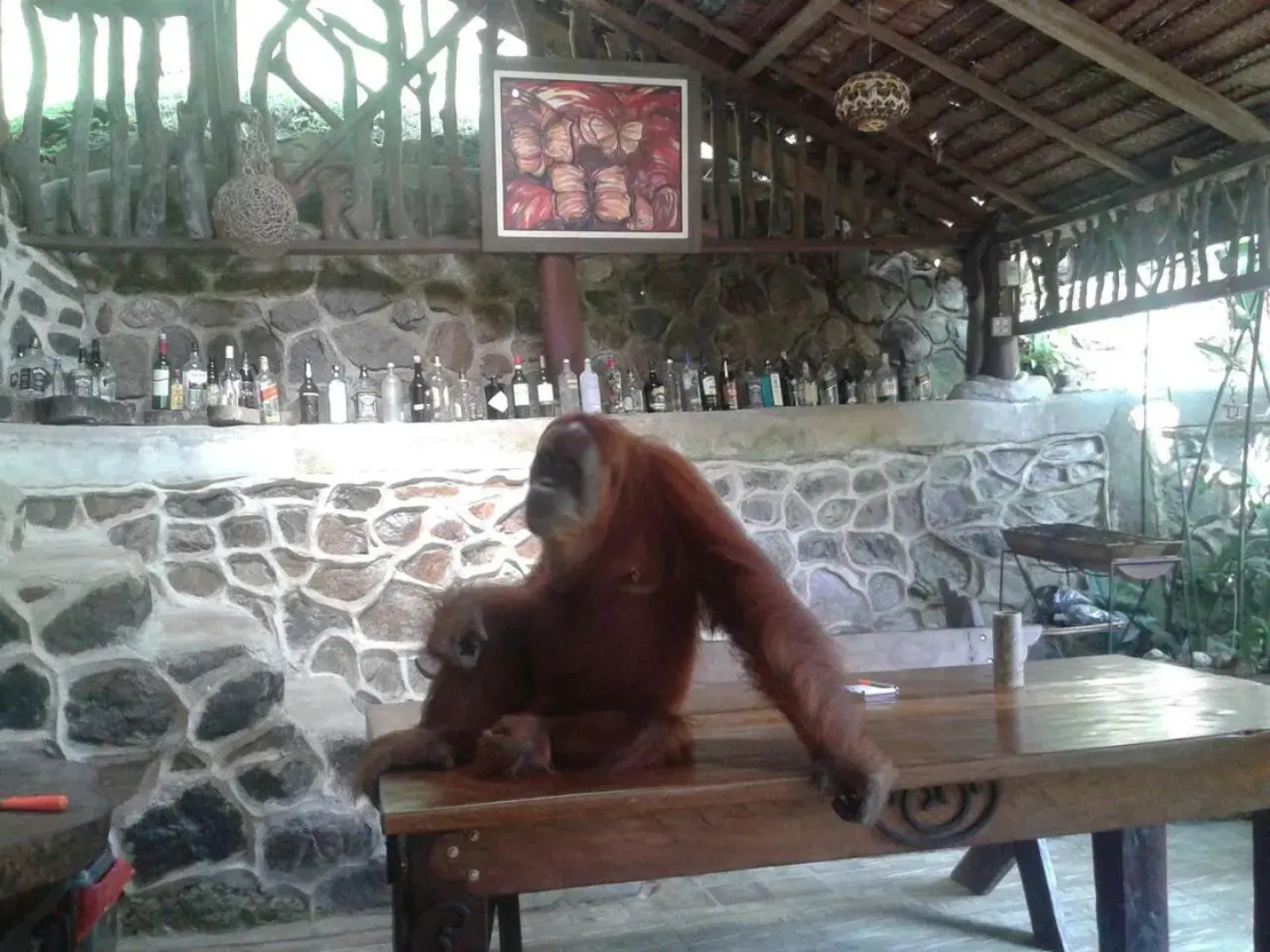 Kupu Kupu Garden Guest House & Cafe