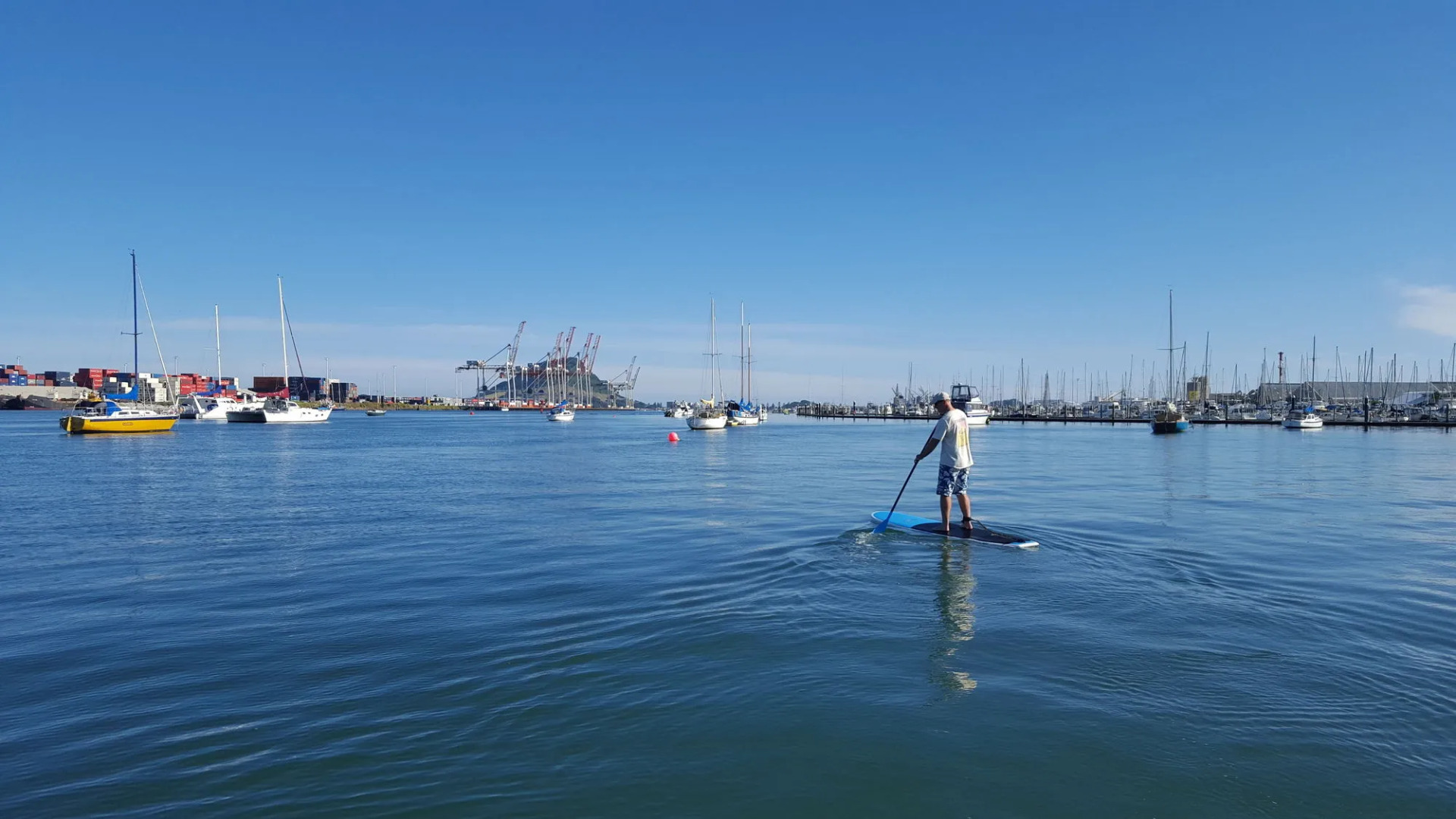 Harbour View Motel and Water Front Apartments