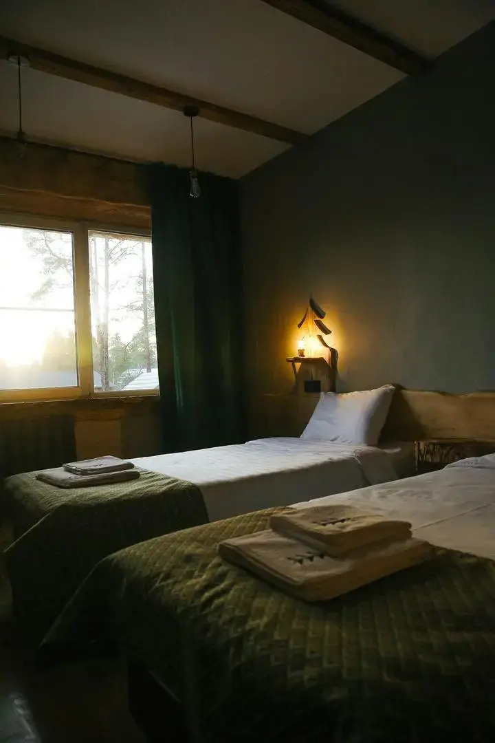 Ёлки(Архангельская)