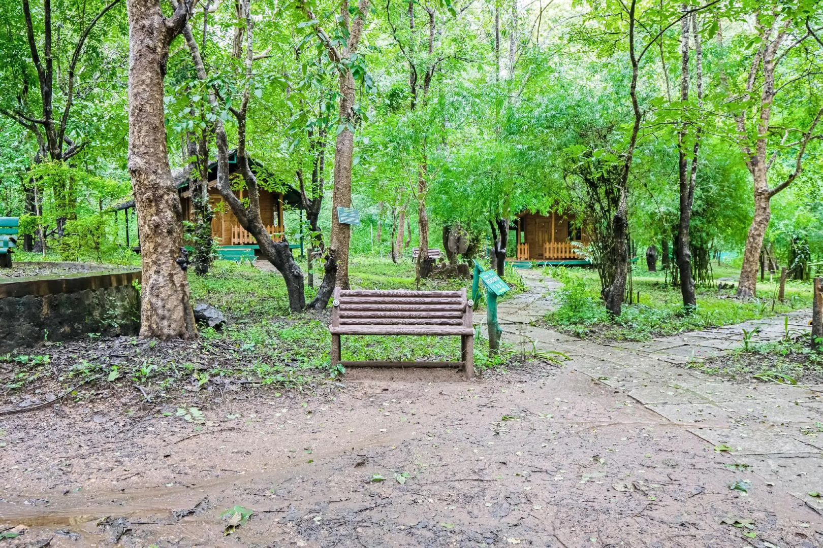 Jungle Lodges And Resorts- Sakrebyle Elephant Camp