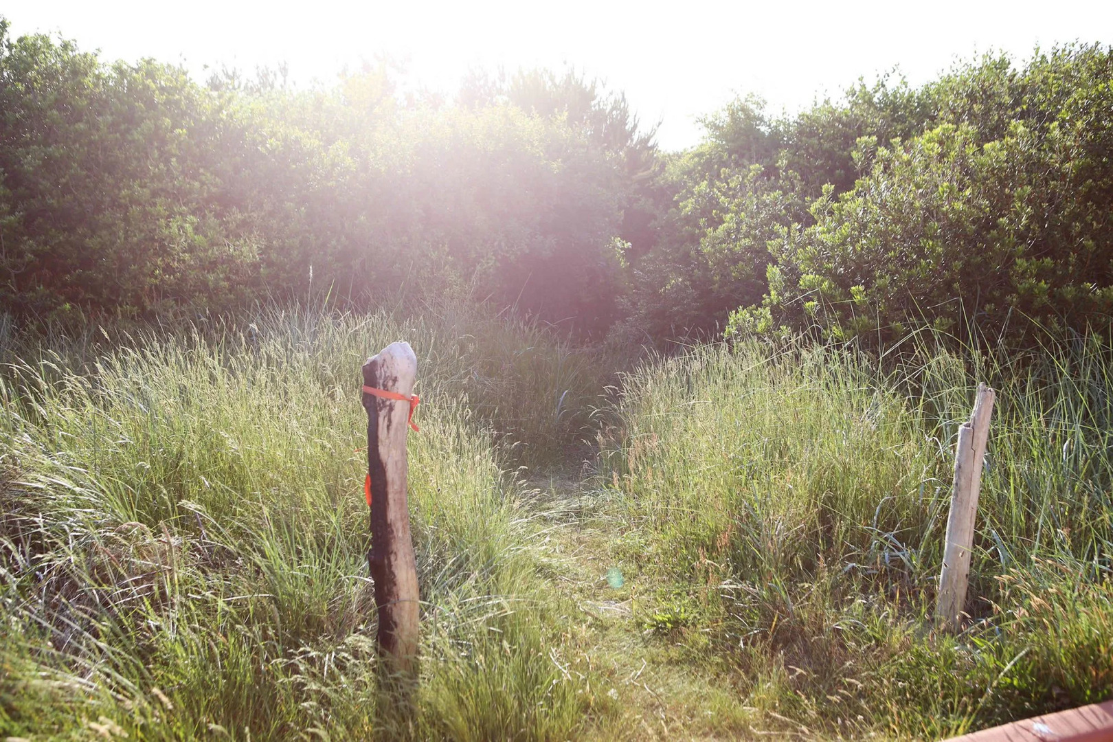 BayVue Hotel, Resort and Suites