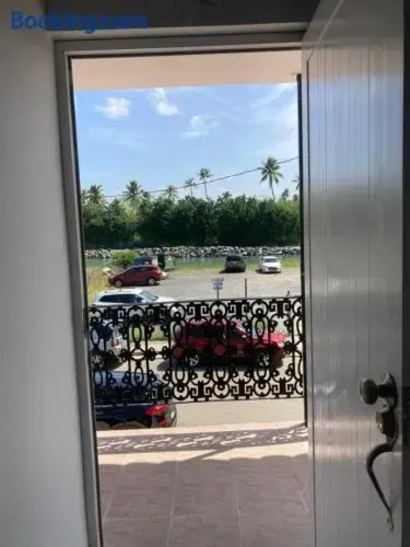 Wild Flowers Boquerón Rooms