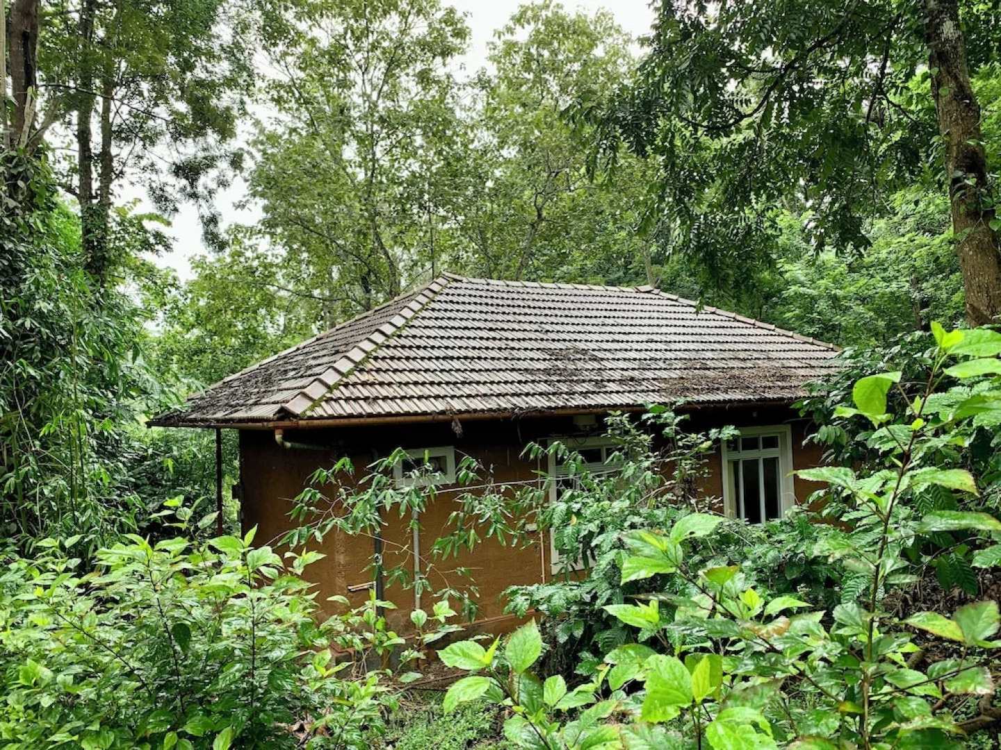 Thennal Jungle Camp Pvt Ltd