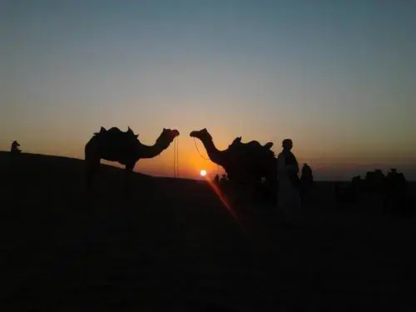 Desert Safariors Camps