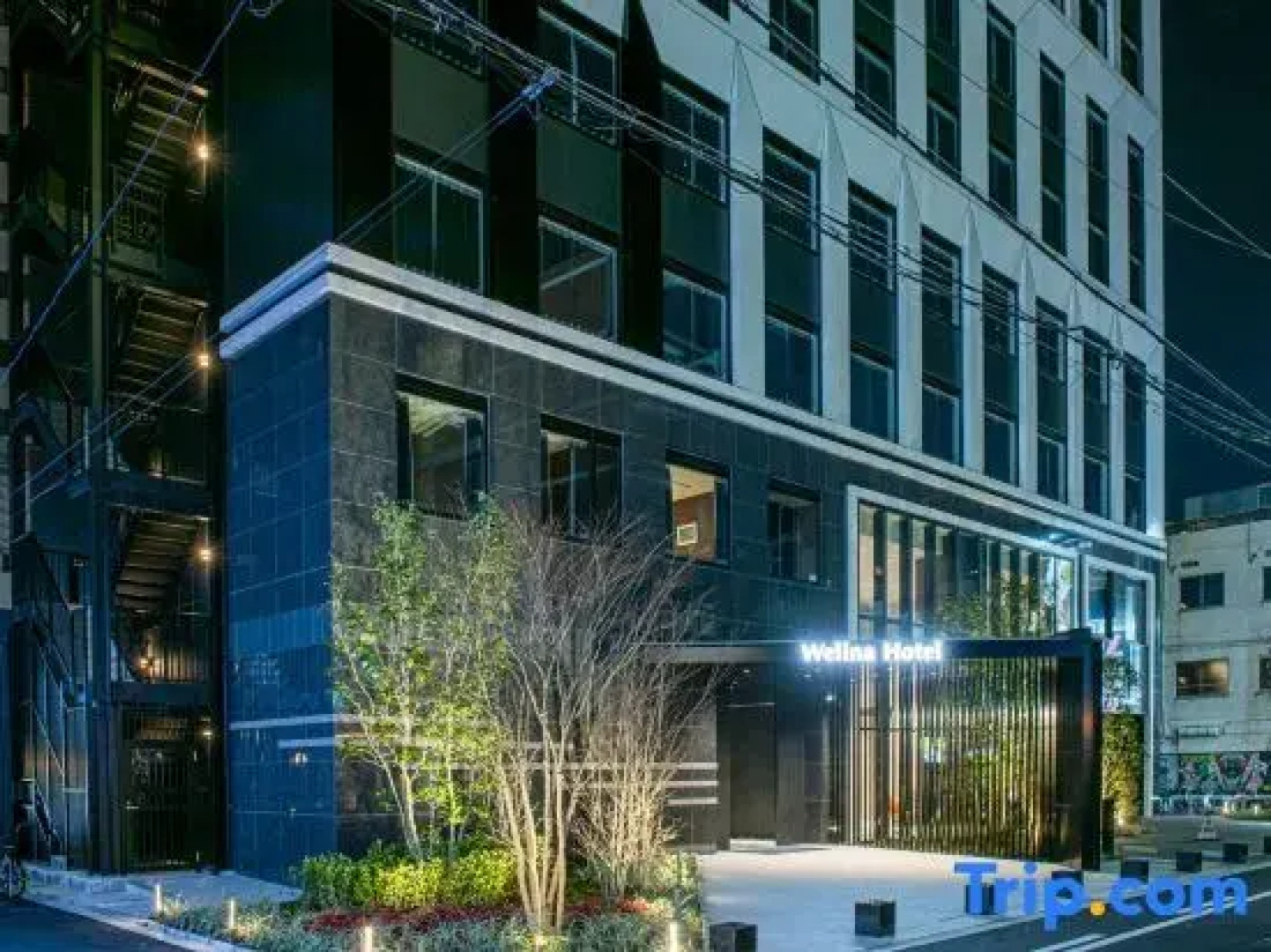 Welina Premier Osaka Namba