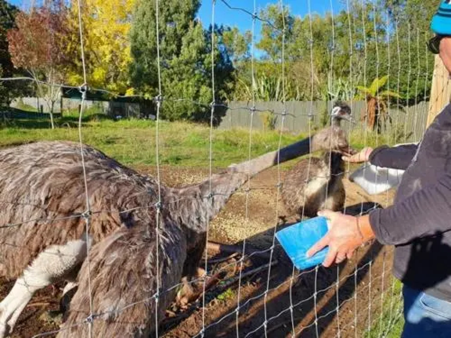 Oasis Motel & Holiday Park