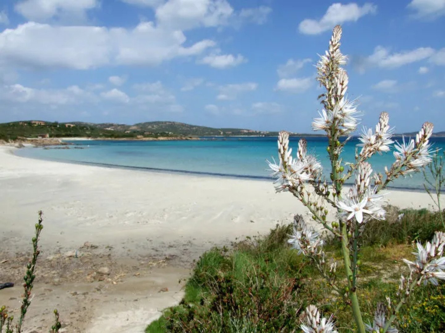 Locazione Turistica Gardenia