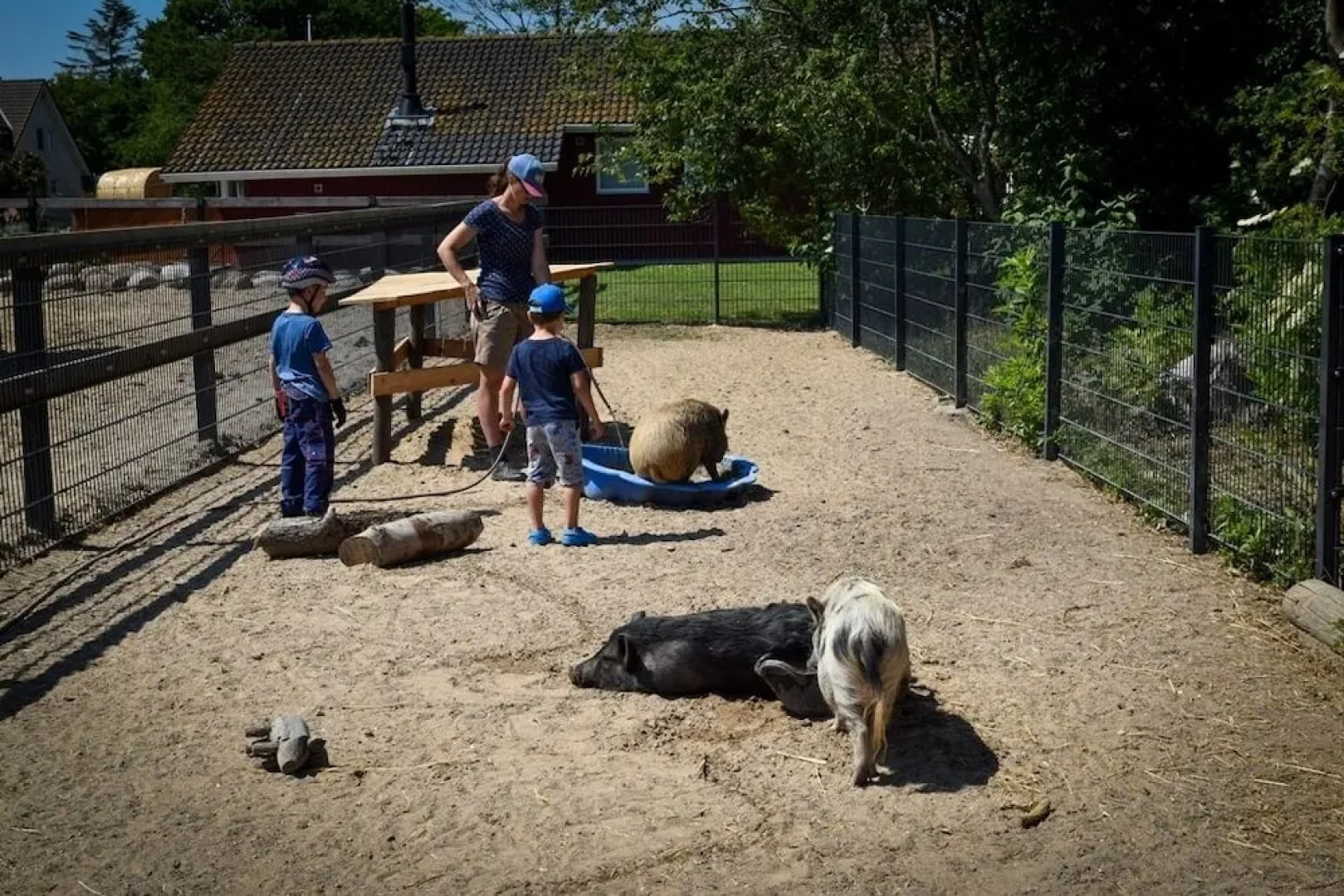 Ferienhof Nina Weilandt