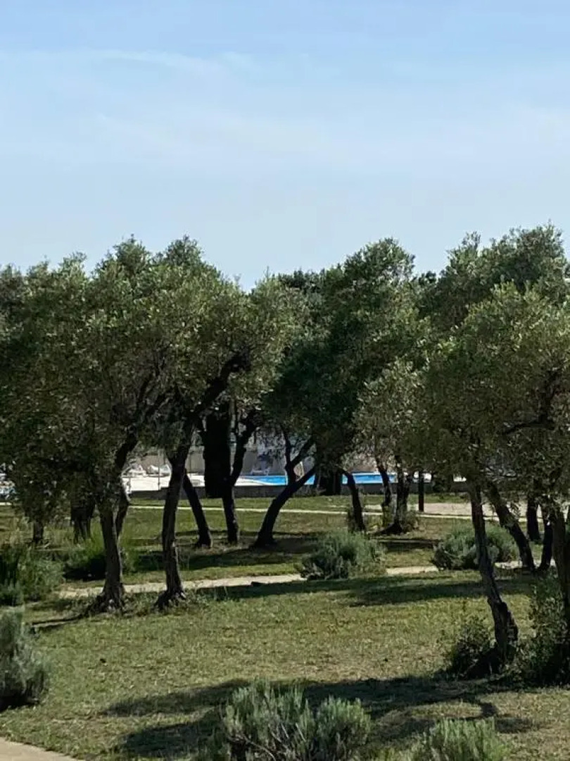 Appartement Paradou cadre splendide