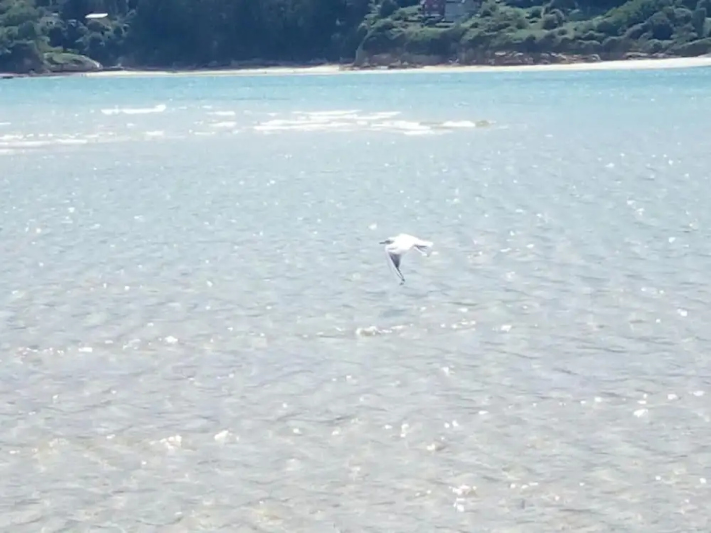 Hospedaxe Don Manuel