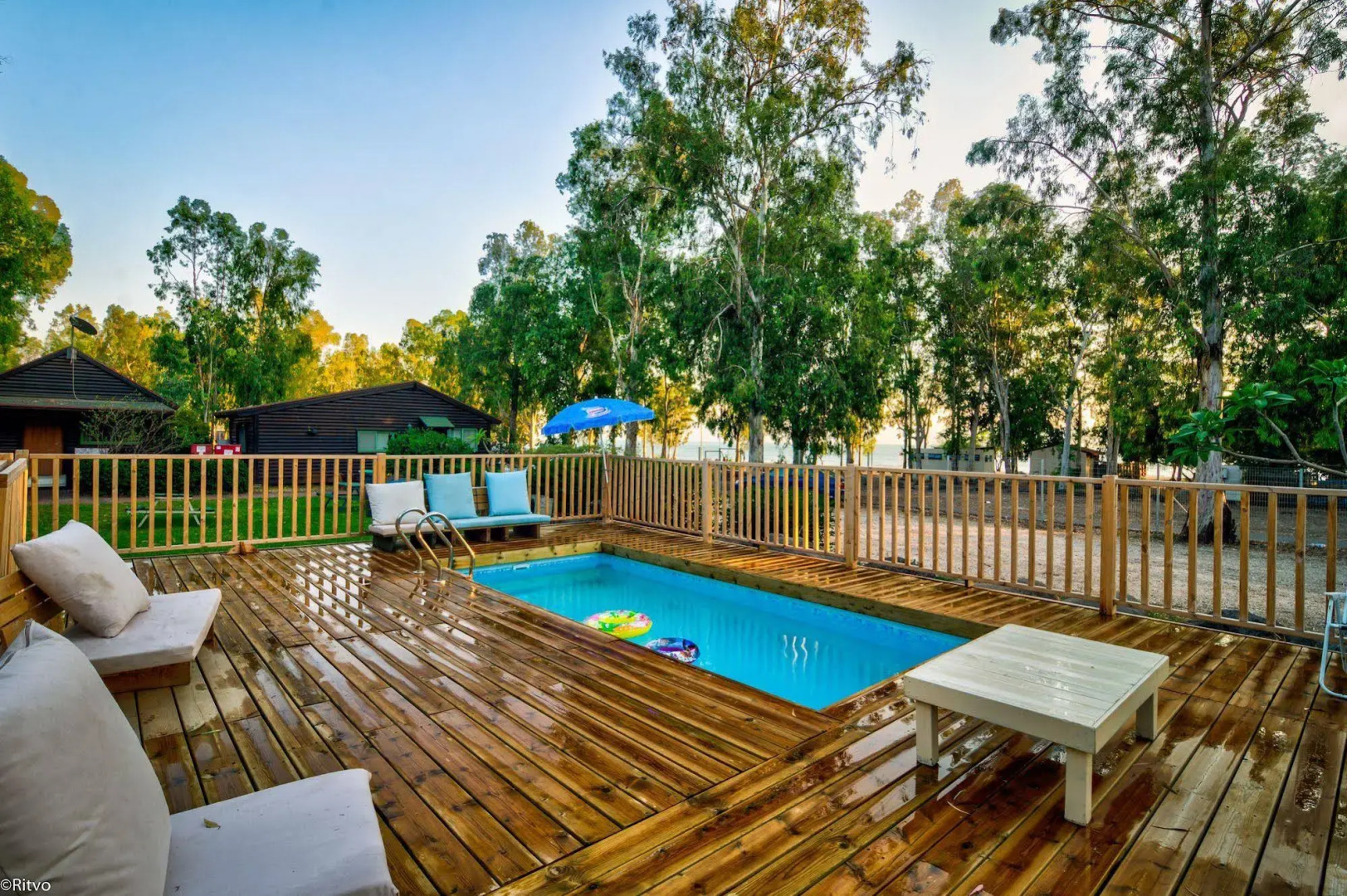 Olive in Sea of Galilee