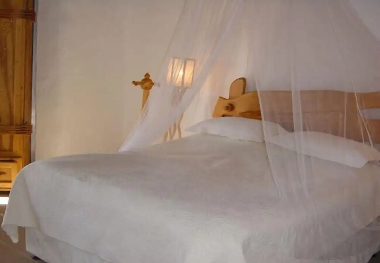 Antbear Drakensberg Lodge