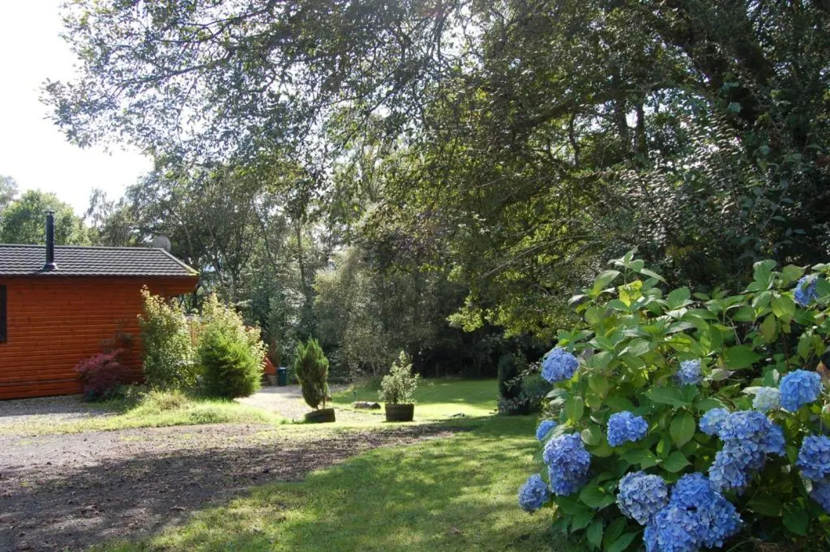 Cosy & compact Rowan Lodge no4