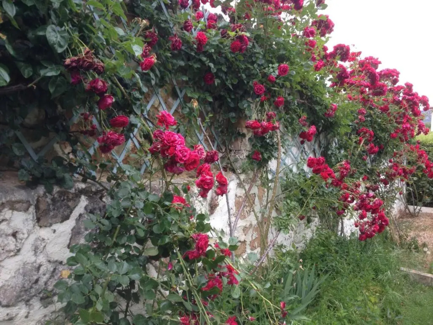 Hotel Rural Mariblanca