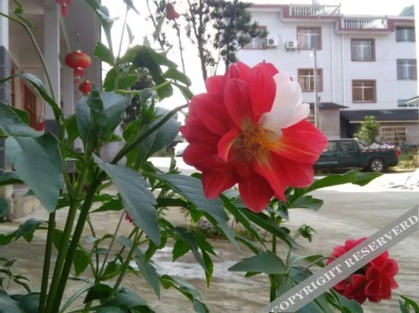 Sanqingshan Hongda Guest House