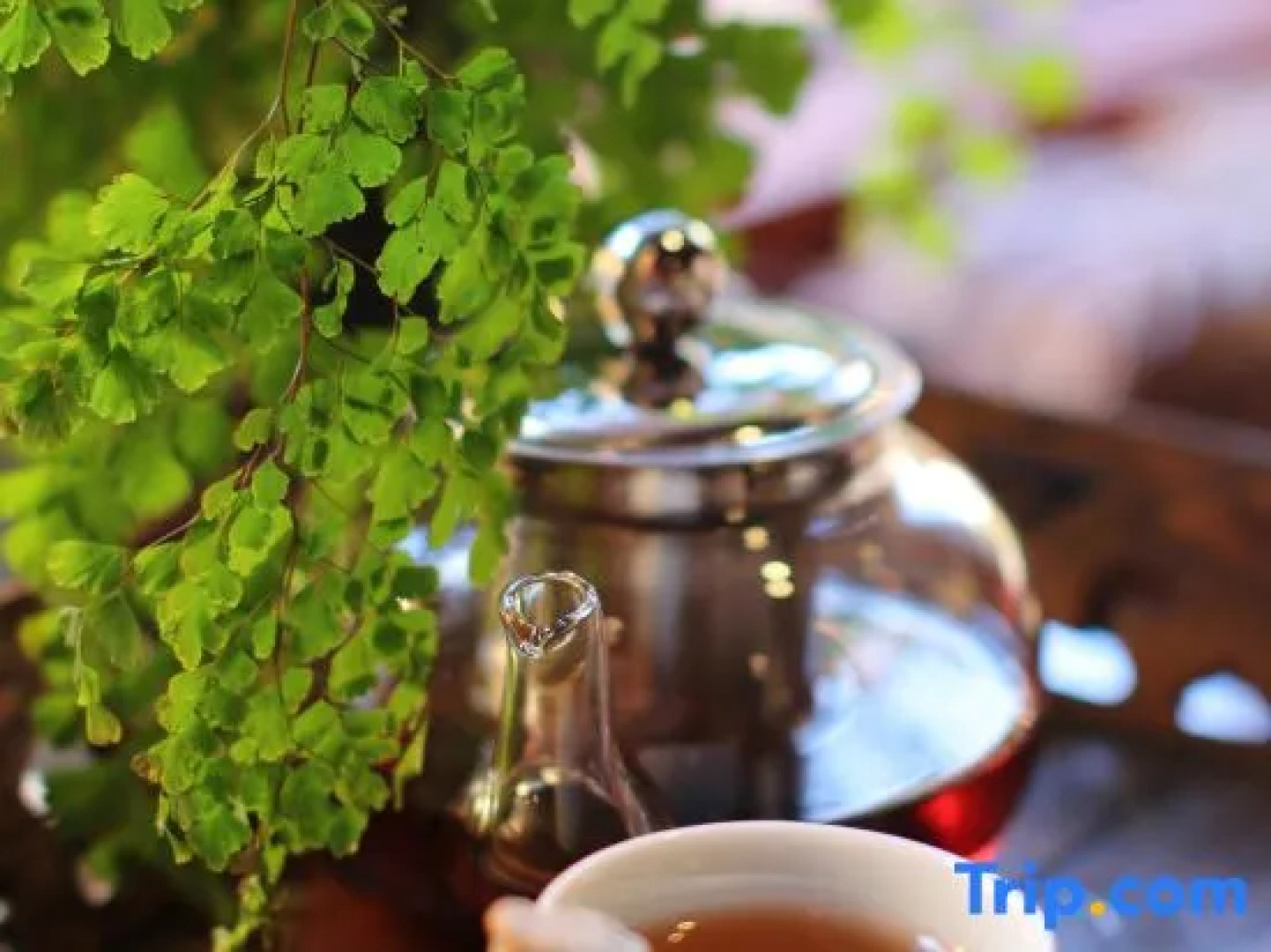 Chenxiang Xiaozhu Guesthouse