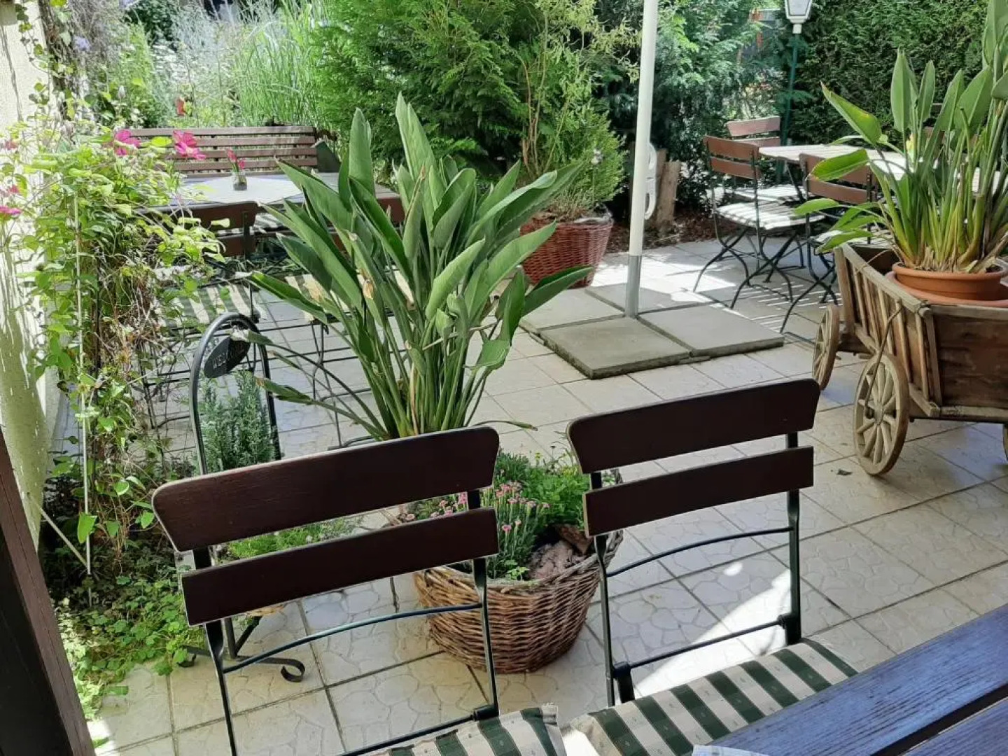 Gasthof & Pension Zum Saalestrand