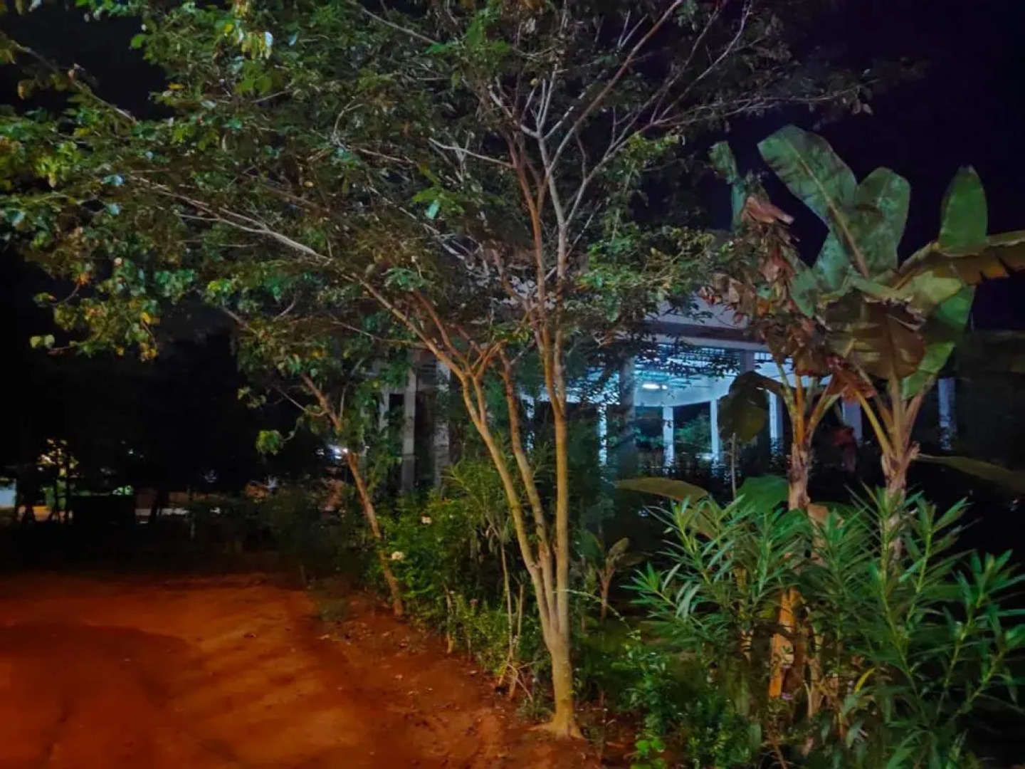 Paradisestay Auro Jungle Resort