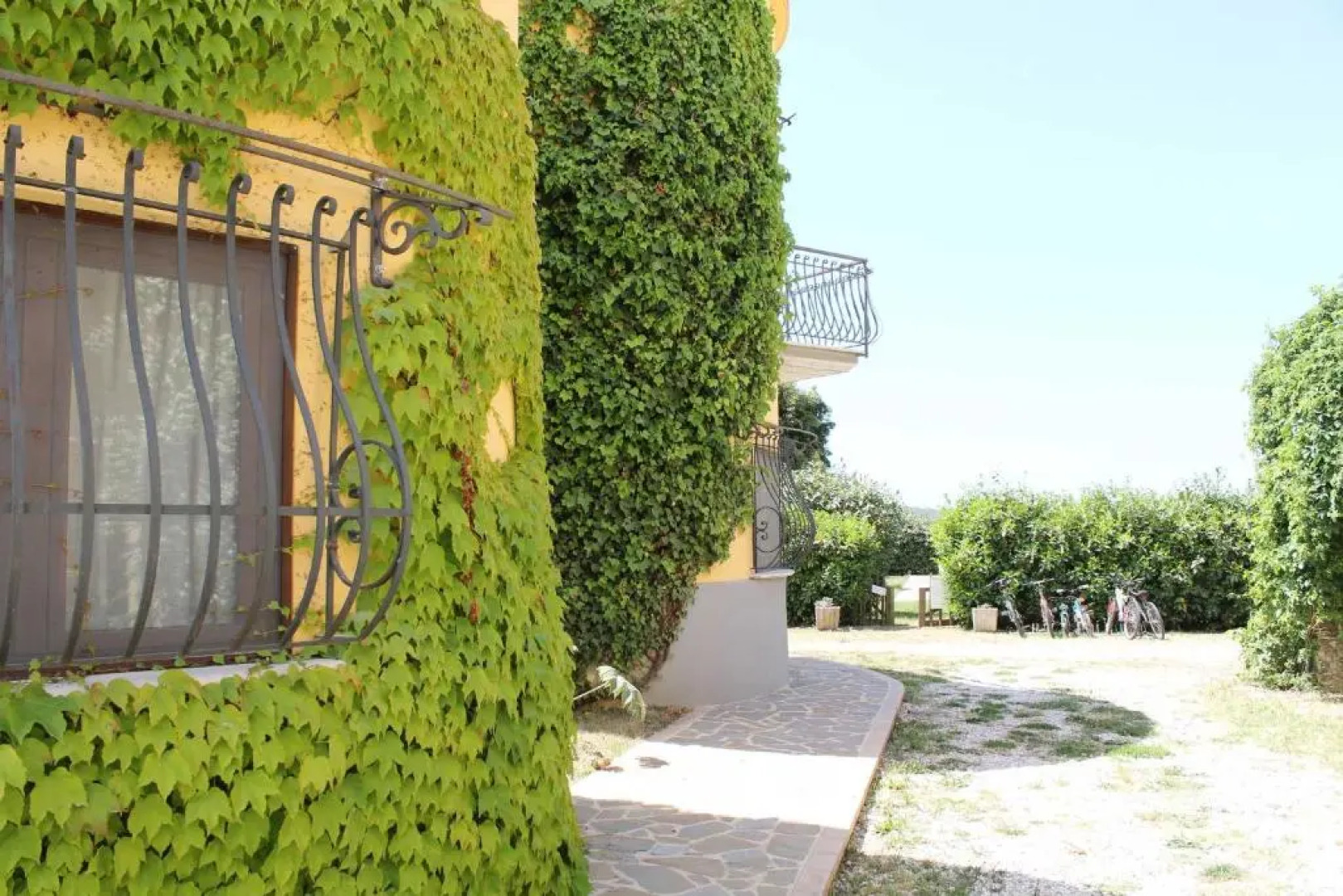 Agriturismo La Petrosa