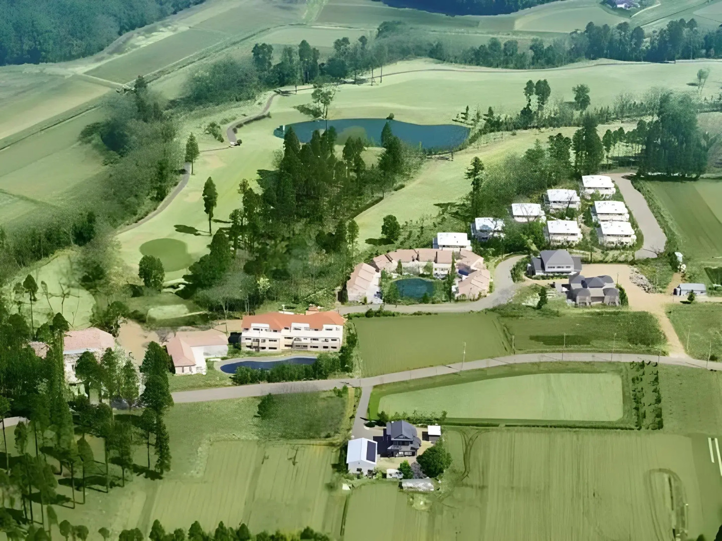 Koyaru-no-sato Doggys Island