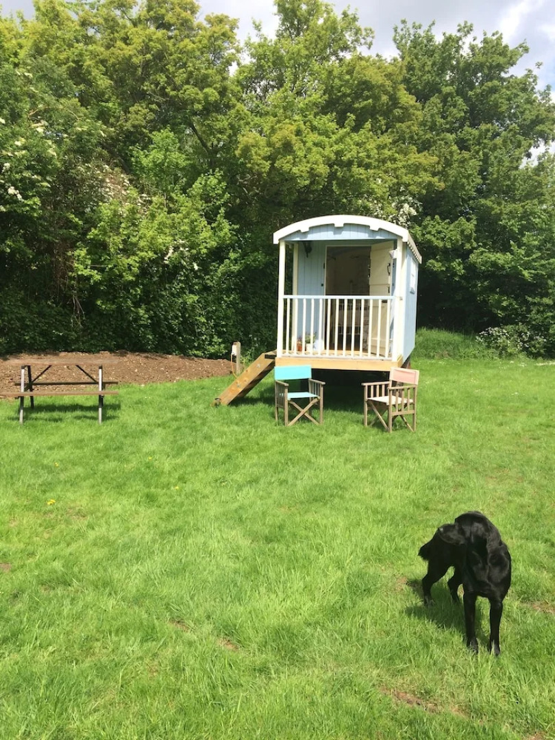 The Cluster @ The Queen - Caravan Park