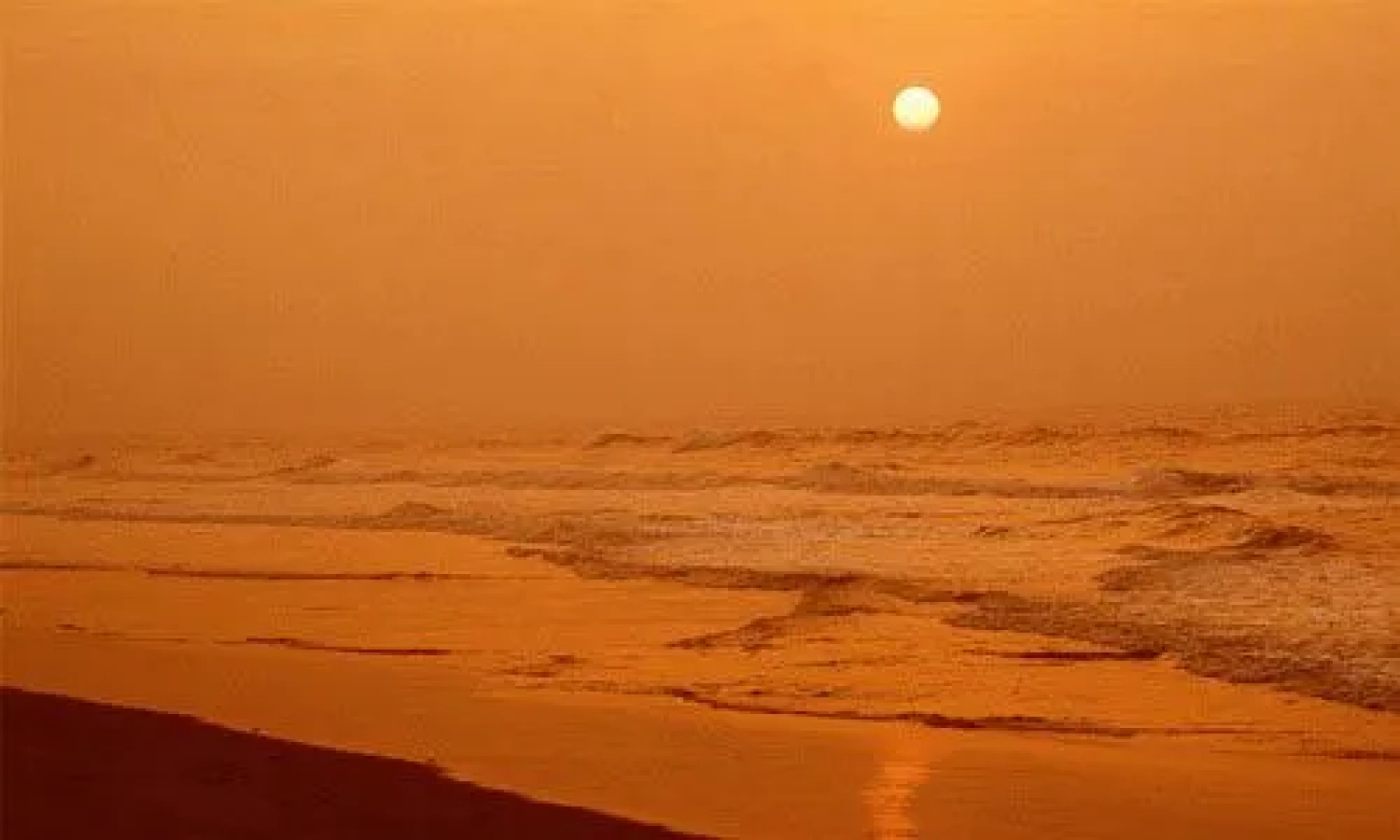 Toshali Sands Puri