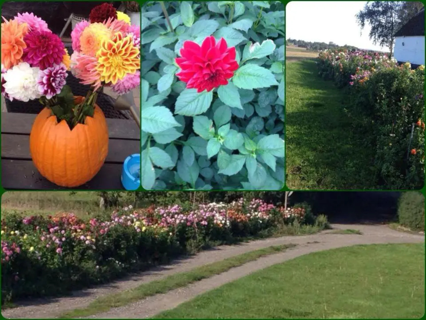 Korshøjgårds Bed og Breakfast