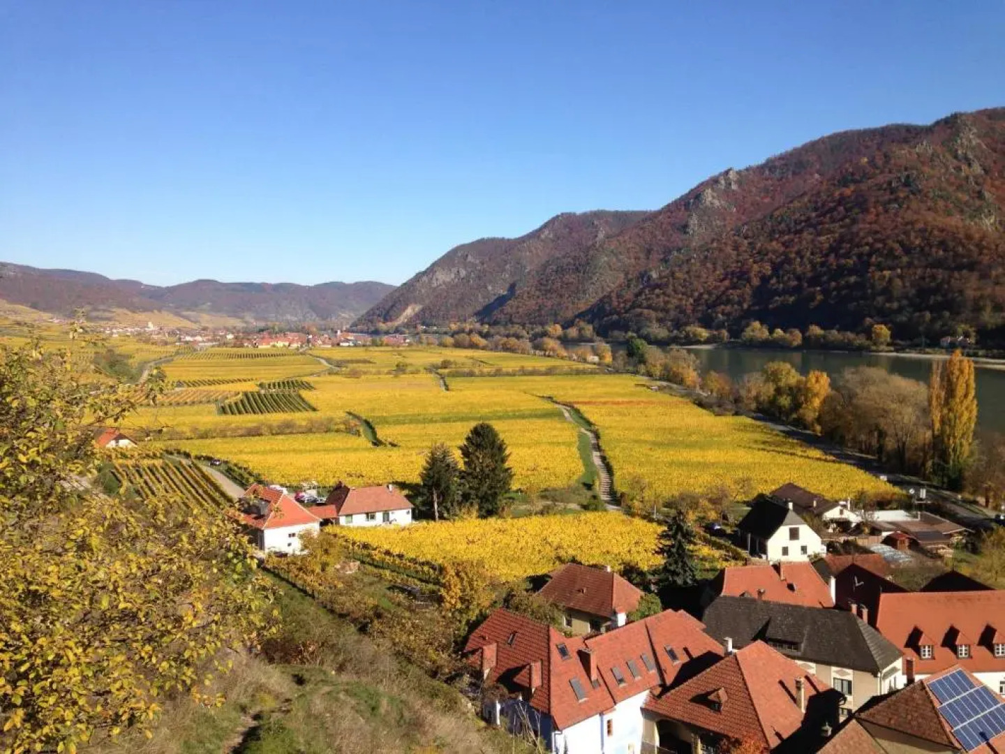 Apartement Schlaf Gut - mitten in der Wachau