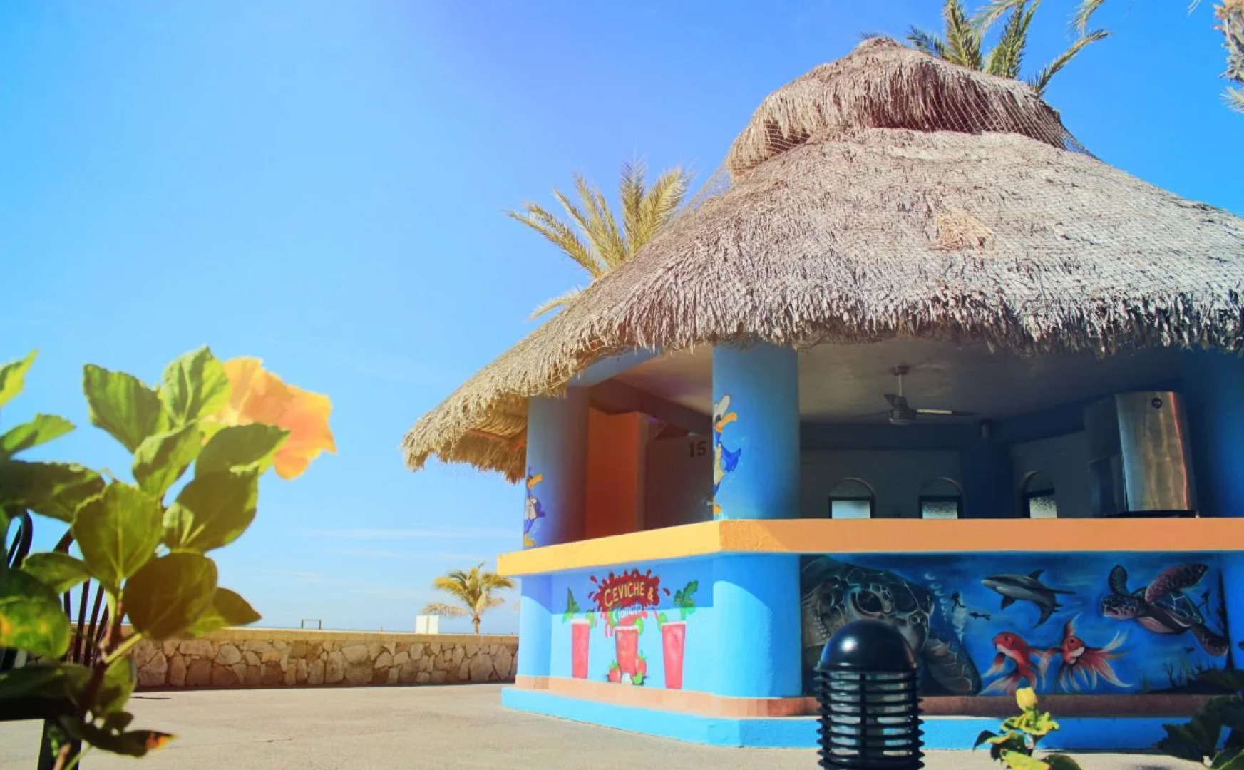 Royal Solaris Los Cabos & Spa - All Inclusive