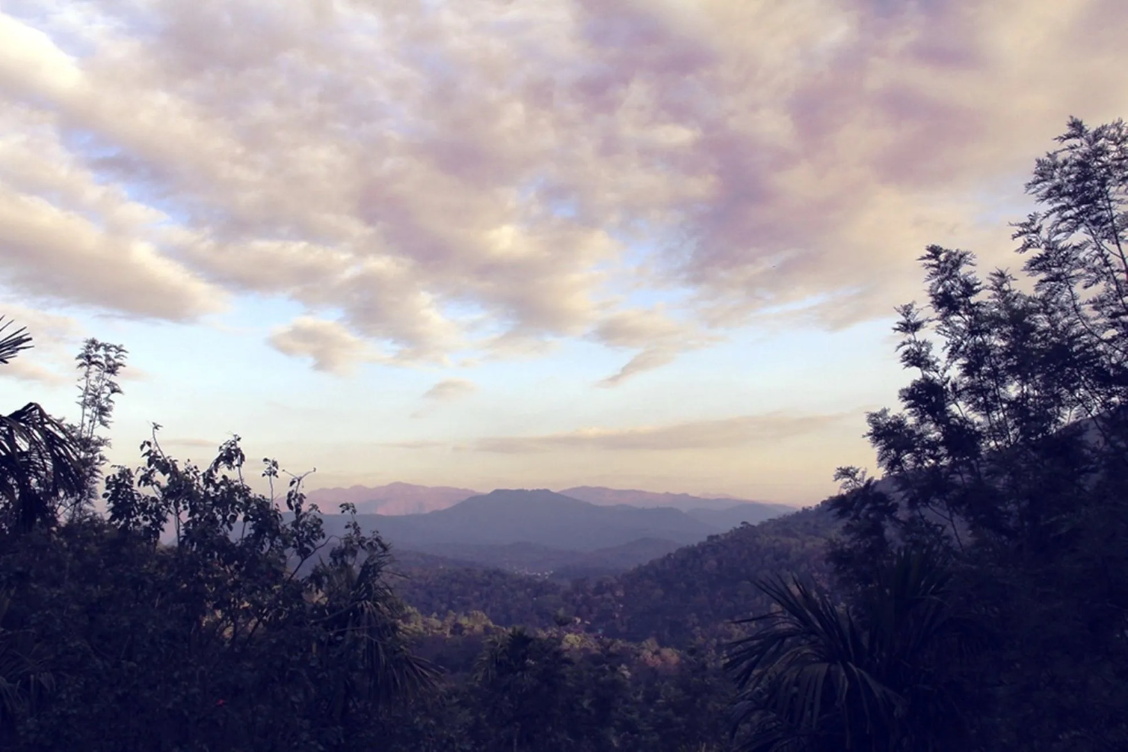 Oxygen Resorts Wild Corridor