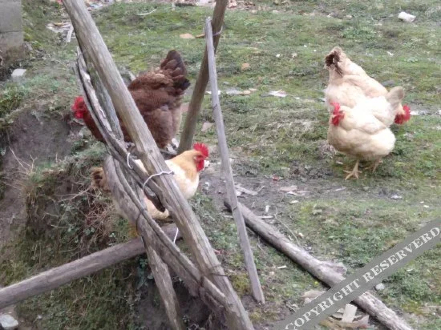 Sanqingshan Hongda Guest House